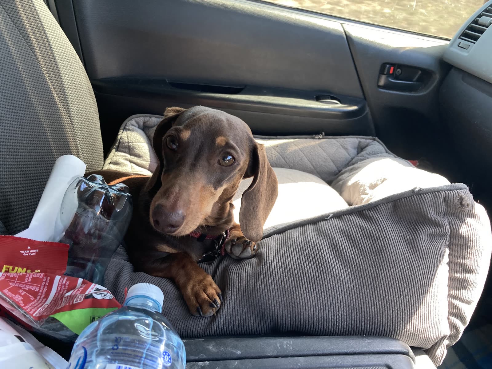Asha riding shotgun